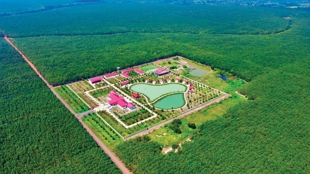 Phát triển bền vững dự án cao su trên đất Campuchia